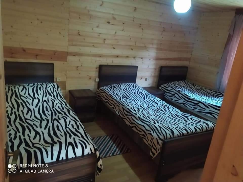 Guesthouse Luka Ushguli Extérieur photo
